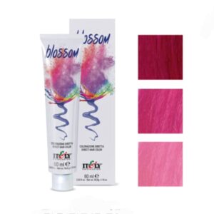 Blossom קרייזי קולור לשיער 60 מ"ל