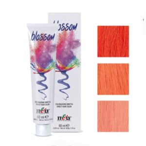 Blossom קרייזי קולור לשיער 60 מ"לצבע לשיער
