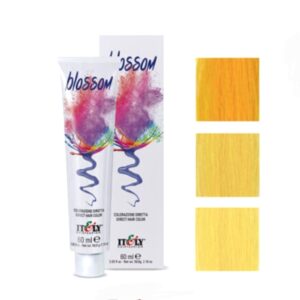 Blossom קרייזי צבע לשיער 60 מ"ל